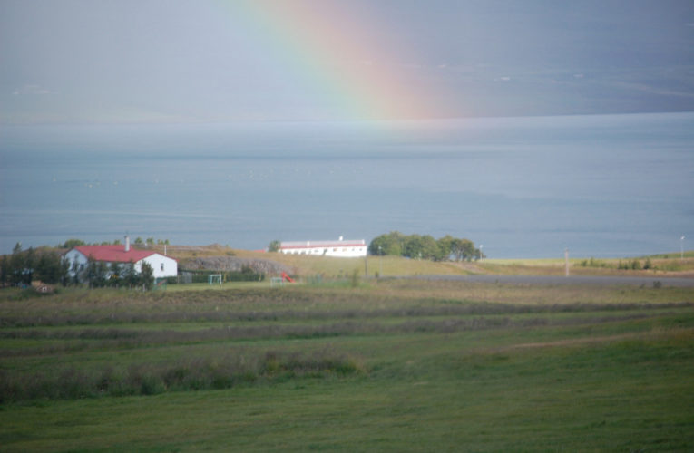 North Miami: Is he really my true Valentine? Love and PTSD.