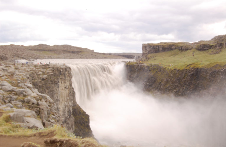 North Miami: Help! I’m a lost little amoeba in this big PTSD ecosystem
