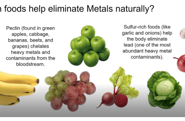 Eliminate Heavy Metals Naturally in North Miami